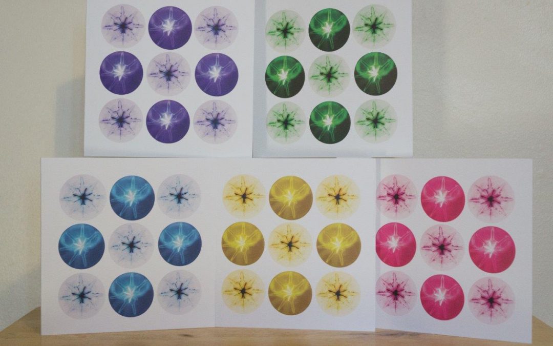 Diatom Themed Christmas Cards