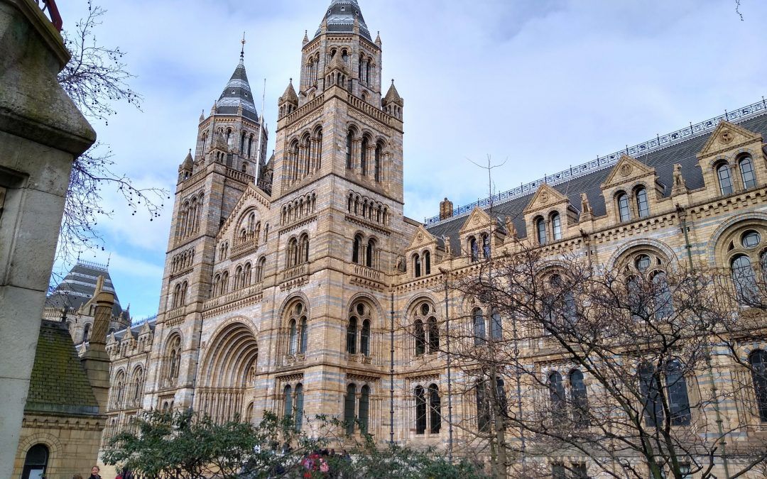 London Freshwater Algal Identification Course
