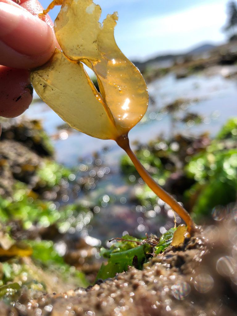 From humble beginnings come great things