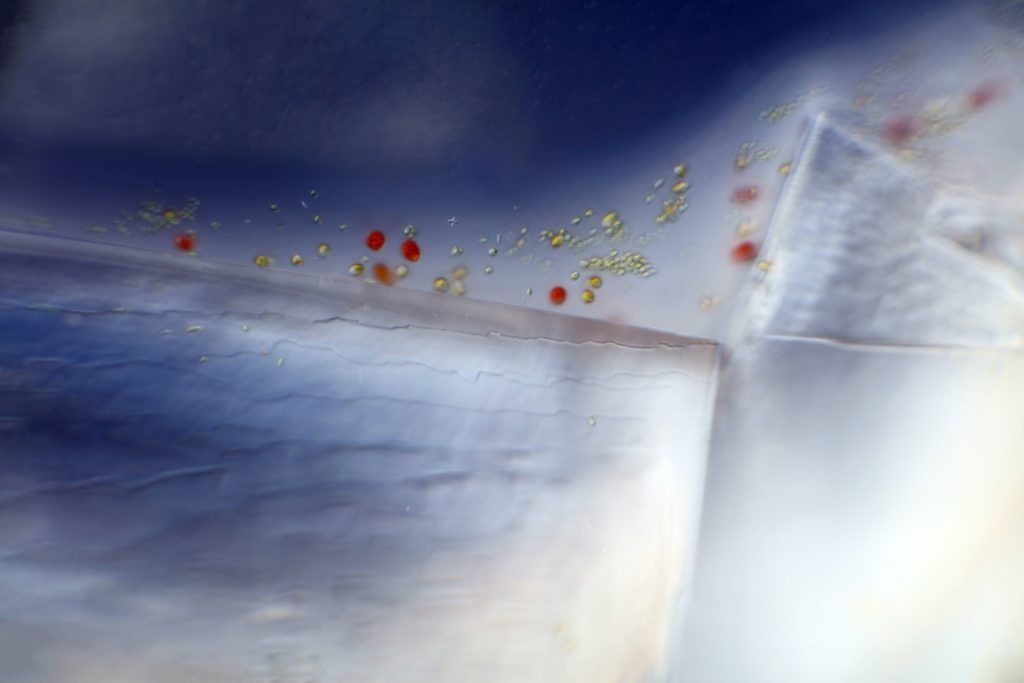 The Great Salt Highway