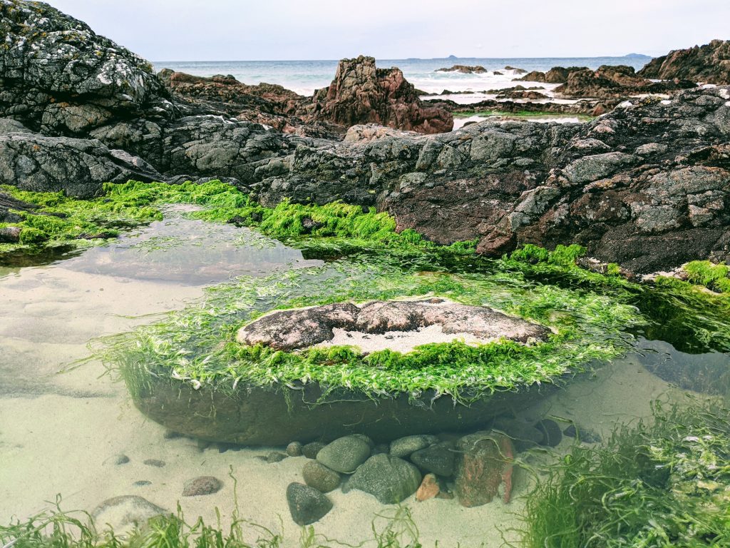 Cosy rock pool on Iona