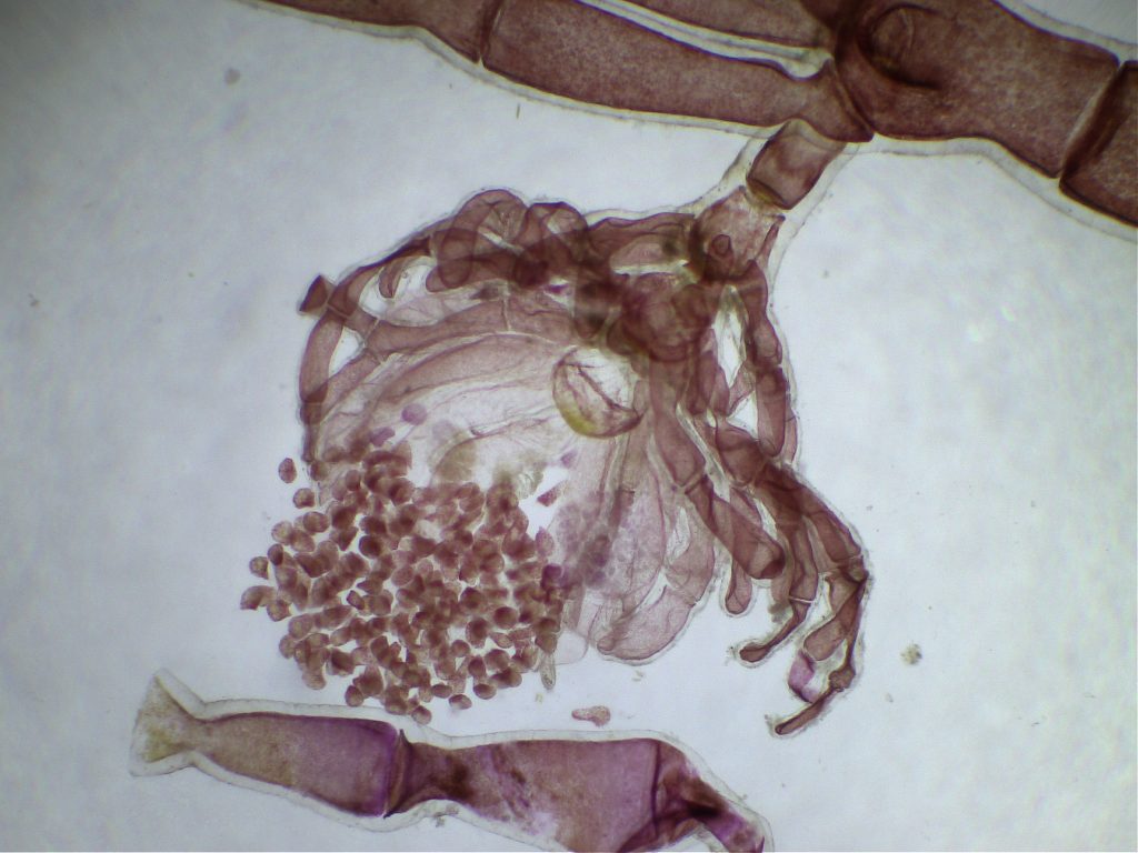 Come on! It´s time to go out!