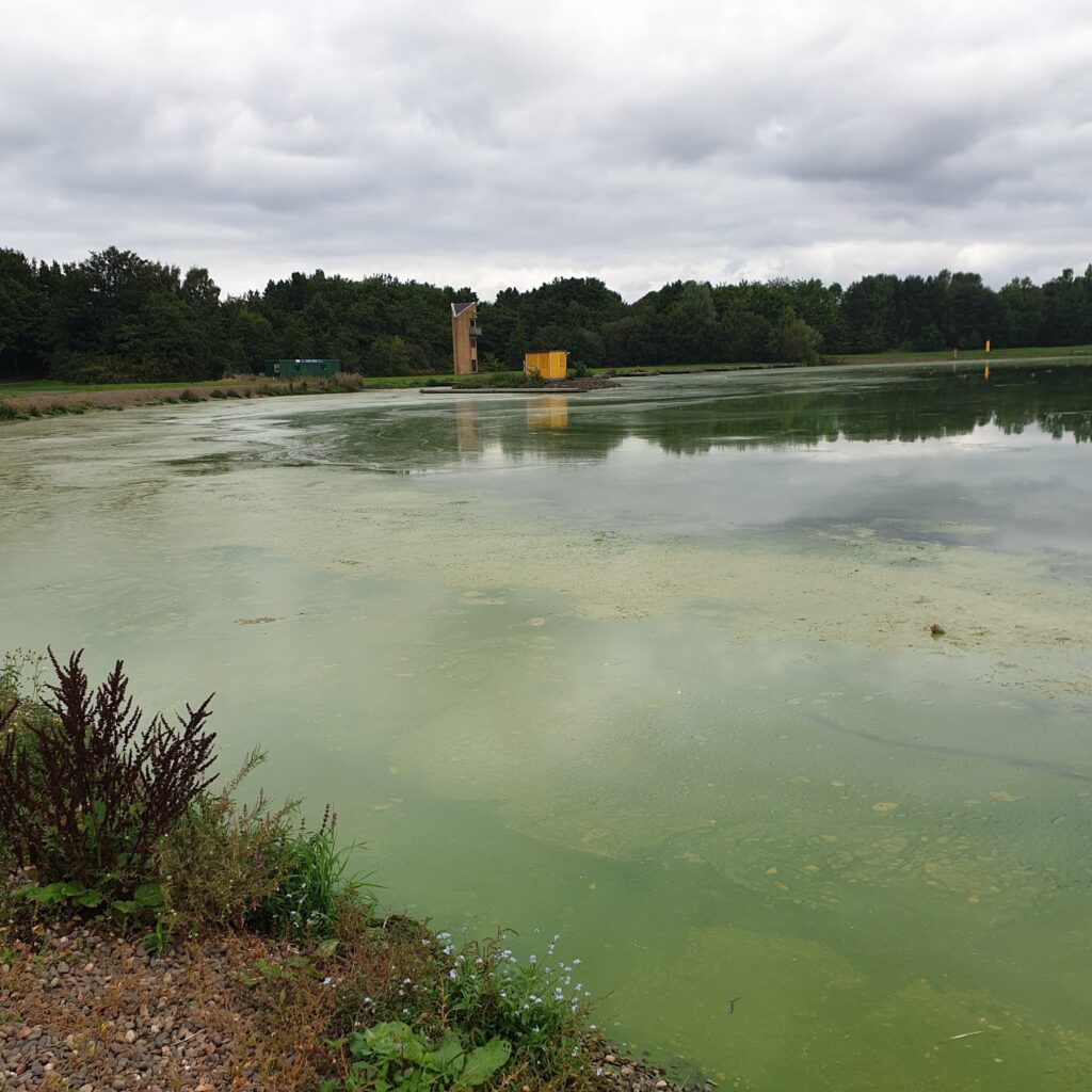 Green is the colour of environmental acceptability...unless...