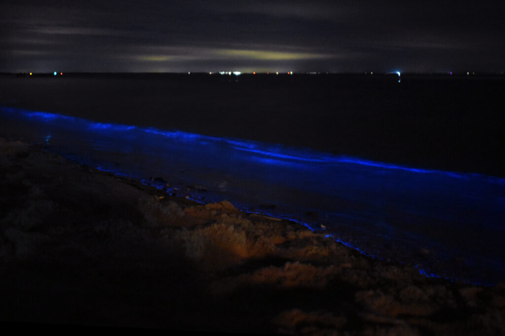 A sea full of stars
