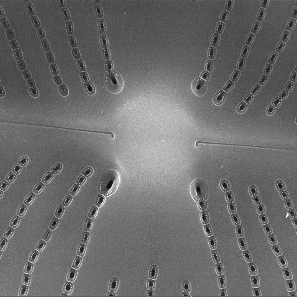 Geometry of a Glass Cell