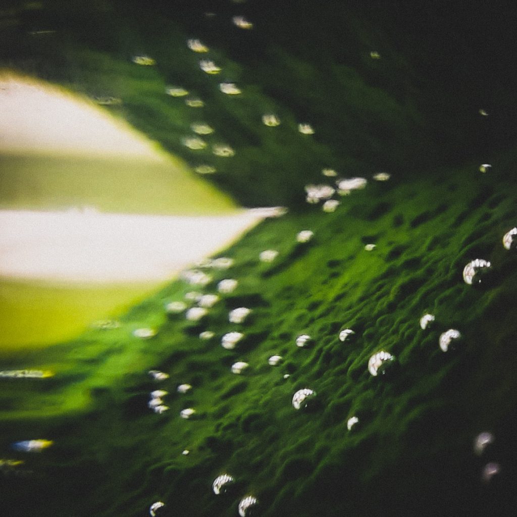 The breath of the benthos